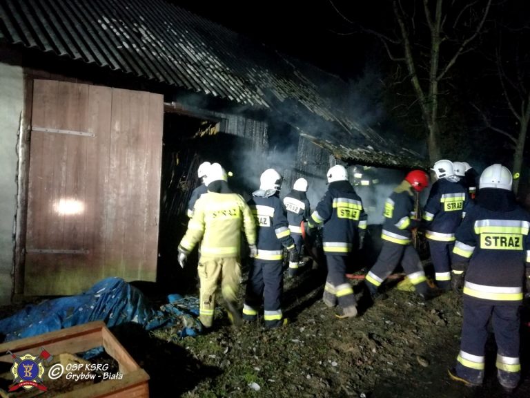 Pracowita noc dla strażaków. Pięć zastępów pospieszyło do pożaru w Siołkowej