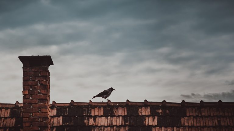 14 sprawców smogu ukarano mandatami