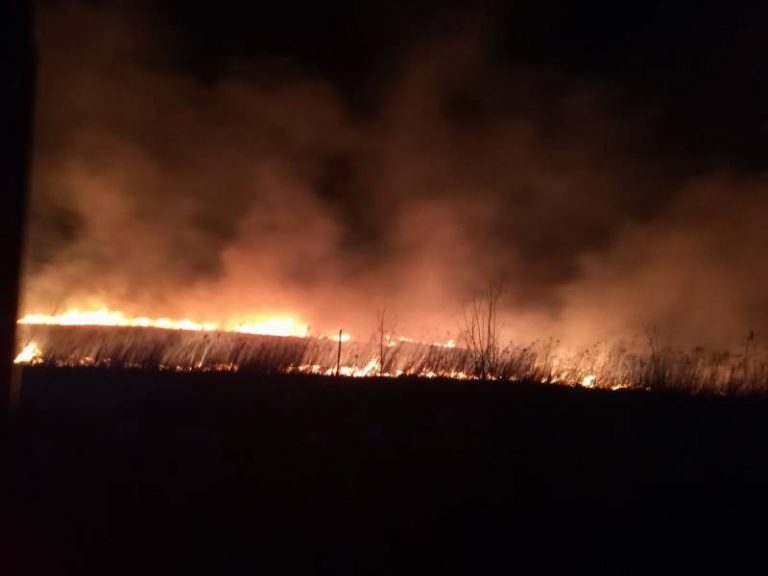 Plaga pożarów traw nęka Sądeccyznę. Najwięcej zanotowano w gminie Podegrodzie