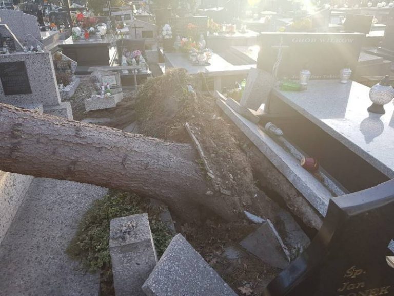 Pięć nagrobków zniszczonych na cmentarzu komunalnym