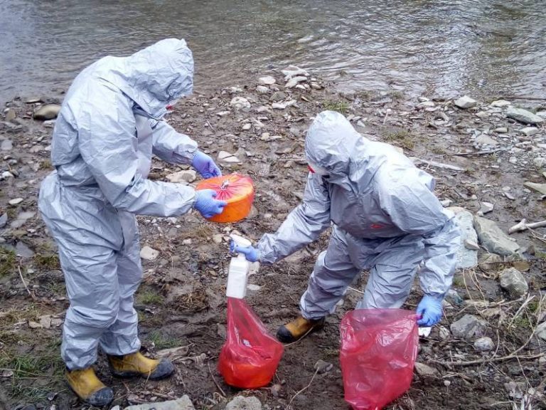 Łososina Dolna: Tajemnicze znalezisko nad rzeką