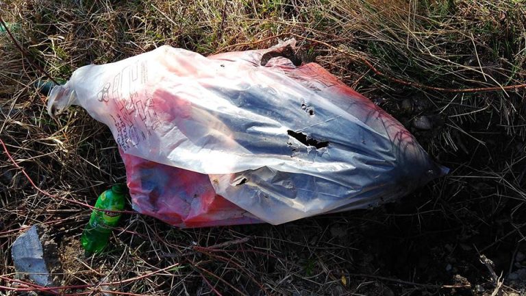 Poszukiwany oprawca skatowanego psa. Nagroda za pomoc w ustaleniu kto zabił wyniesie 10 000 zł.