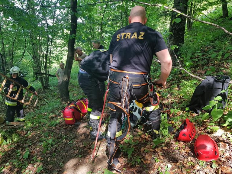 Góra Chełm: paralotniarz wylądował na drzewie i zawisł kilkadziesiąt metrów nad ziemią