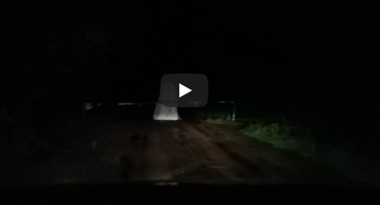 [FILM] Marcinkowice: zjawisko paranormalne, czy kolega w prześcieradle?