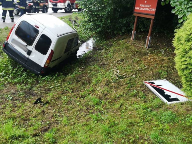 Samochód wypadł z drogi i ściął znak drogowy. Pasażerka w szpitalu