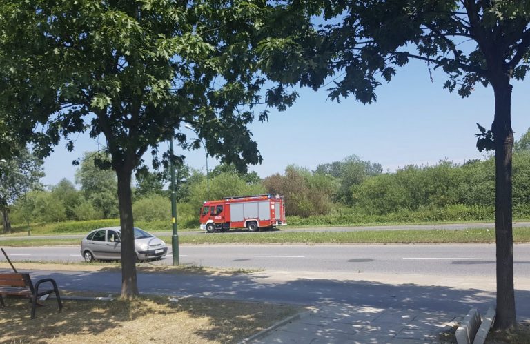 Z ostatniej chwili: pożar traw nad Kamienicą. Spłonęło 20 arów