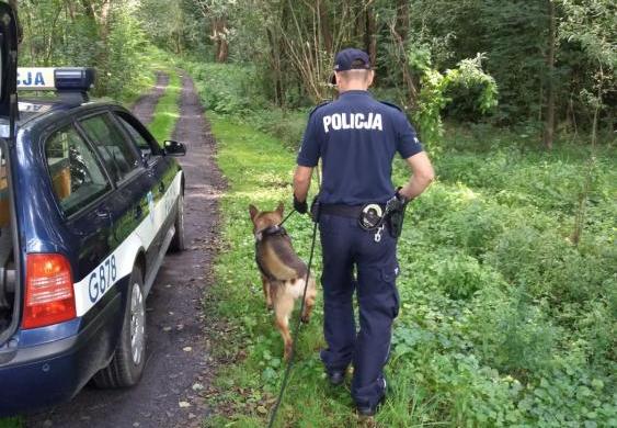 Czworonożny Motor odnalazł zaginionego 35-latka