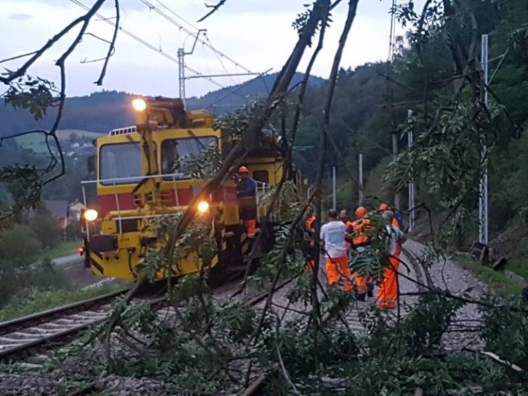 Drzewo powalone na trakcję stwarzało zagrożenie dla pociągów