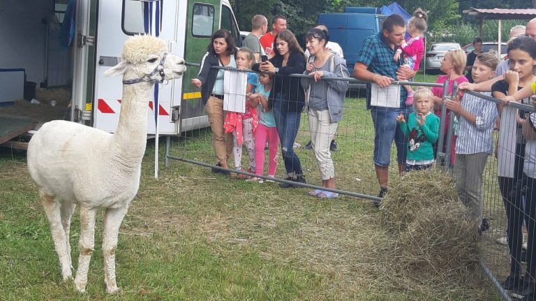 Agropromocja 2019: dziś dzień drugi. Spełnij swoje kulinarne lub ogrodnicze marzenia!