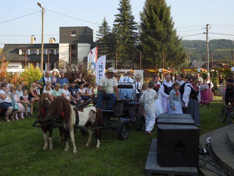Fasolowe Żniwa