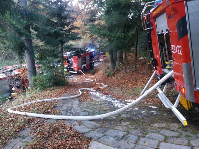 Tylicz: pożar drewnianej wiaty. W akcji pogotowie ratunkowe