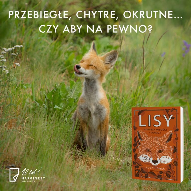 Chytry, przebiegły, drapieżny? Czy aby na pewno?