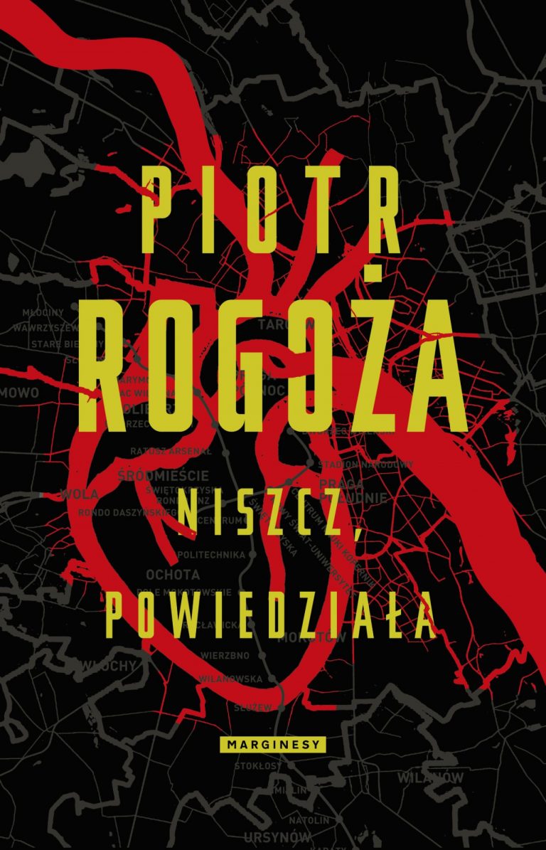 Niszcz, powiedziała – książka o problemie wpływania na opinię publiczną poprzez social media