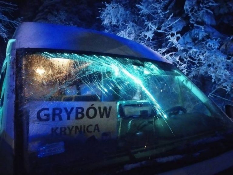 Drzewo złamało się i spadło wprost na busa, którym podróżowało kilkanaście osób