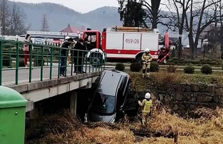 Kierowca samochodu stracił panowanie nad Peugeotem i wjechał do rzeki