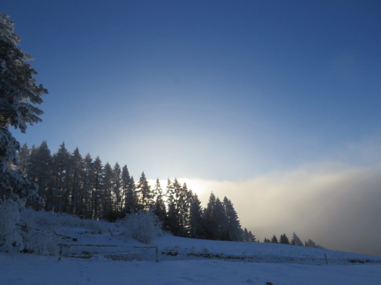 okolice Muszyny, zima