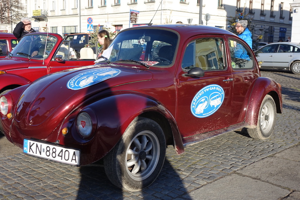garbusy na rynku
