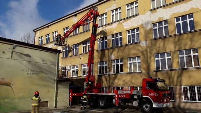 Strażacy usuwali skutki silnego wiatru