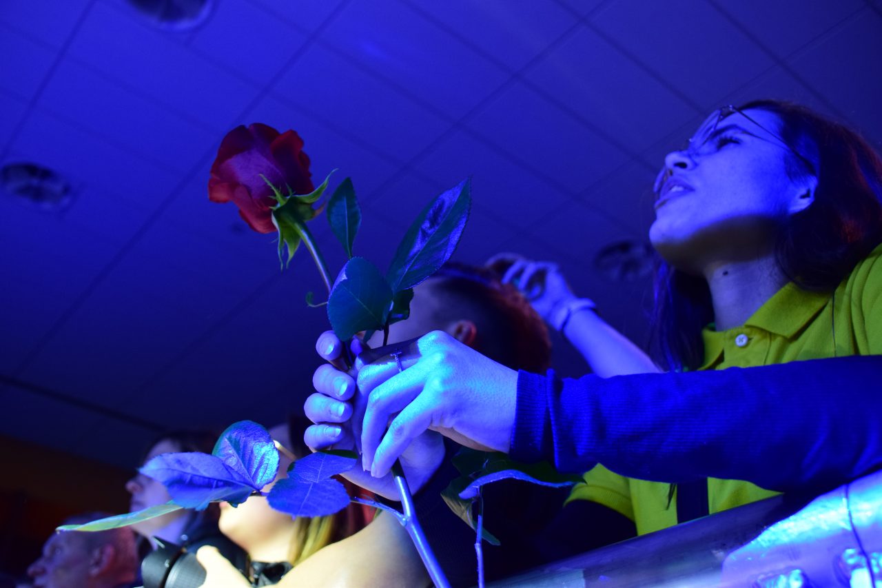 Jeden z ostatnich koncertów Perfect, Krynica Źródłem Kultury