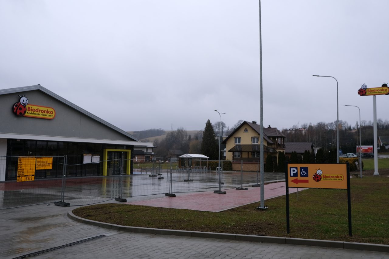 Biedronka Korzenna