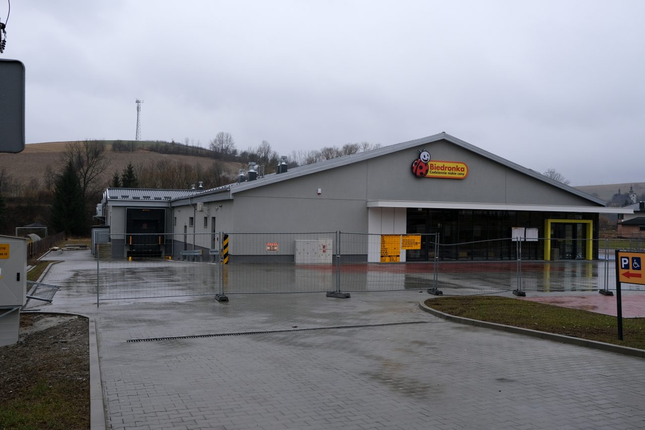 Biedronka Korzenna