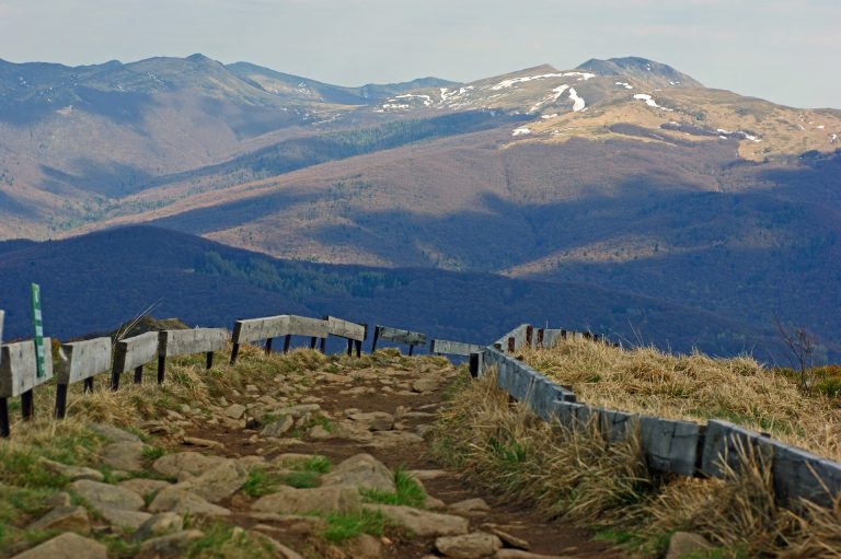 Sądecki pamiętnik z czasów zarazy (II). Wyjechać w Bieszczady