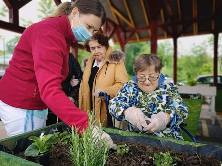 Masz rośliny, których chcesz się pozbyć? Sprawią radość seniorom z Domu Pomocy Społecznej