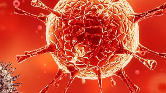 KORONAWIRUS RAPORT – 22 lipca. Liczba zakażeń na Sądecczyźnie wciąż rośnie