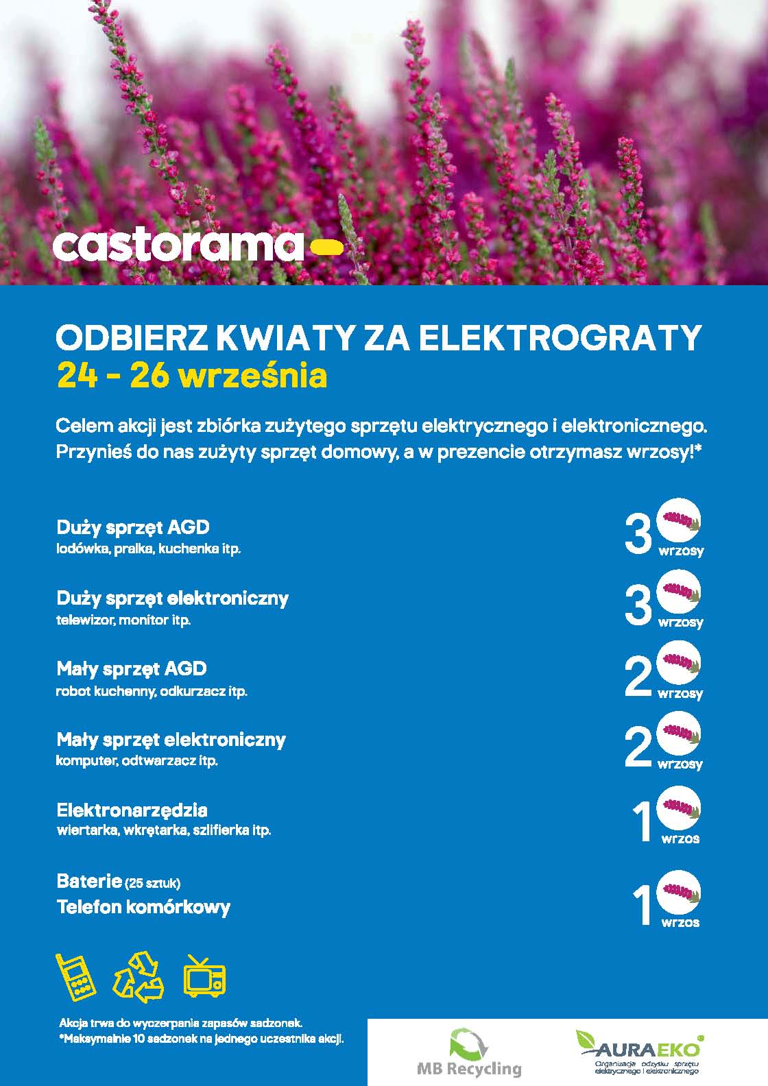 Kwiaty Za Elektrograty W Castoramie