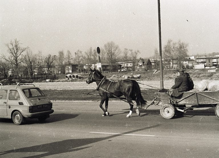 Odkurzone fotografie Jerzego Cebuli: gospodarzu, uszy do góry!