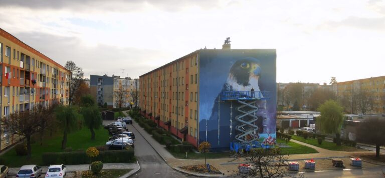 Nowy Sącz,ul.Broniewskiego: Sokół przysiadł na bloku… [zdjęcia]