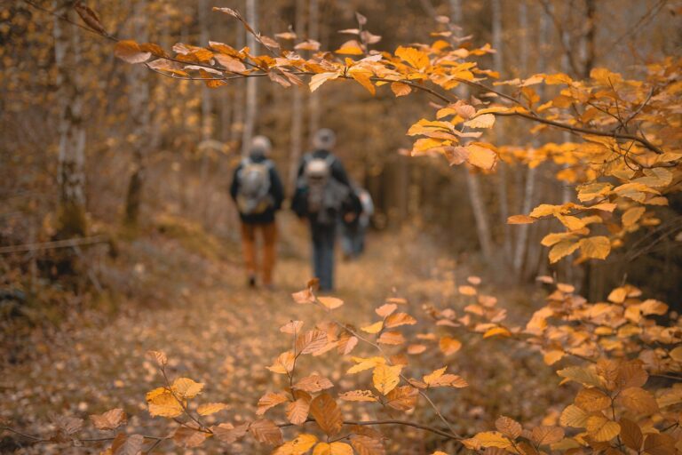 Beskid Sądecki: czwórka turystów zabłądziła w rejonie Radziejowej