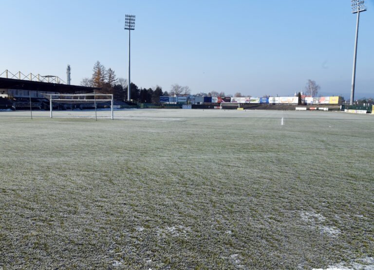Sandecja zamrożona