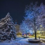 Gorlice, zima