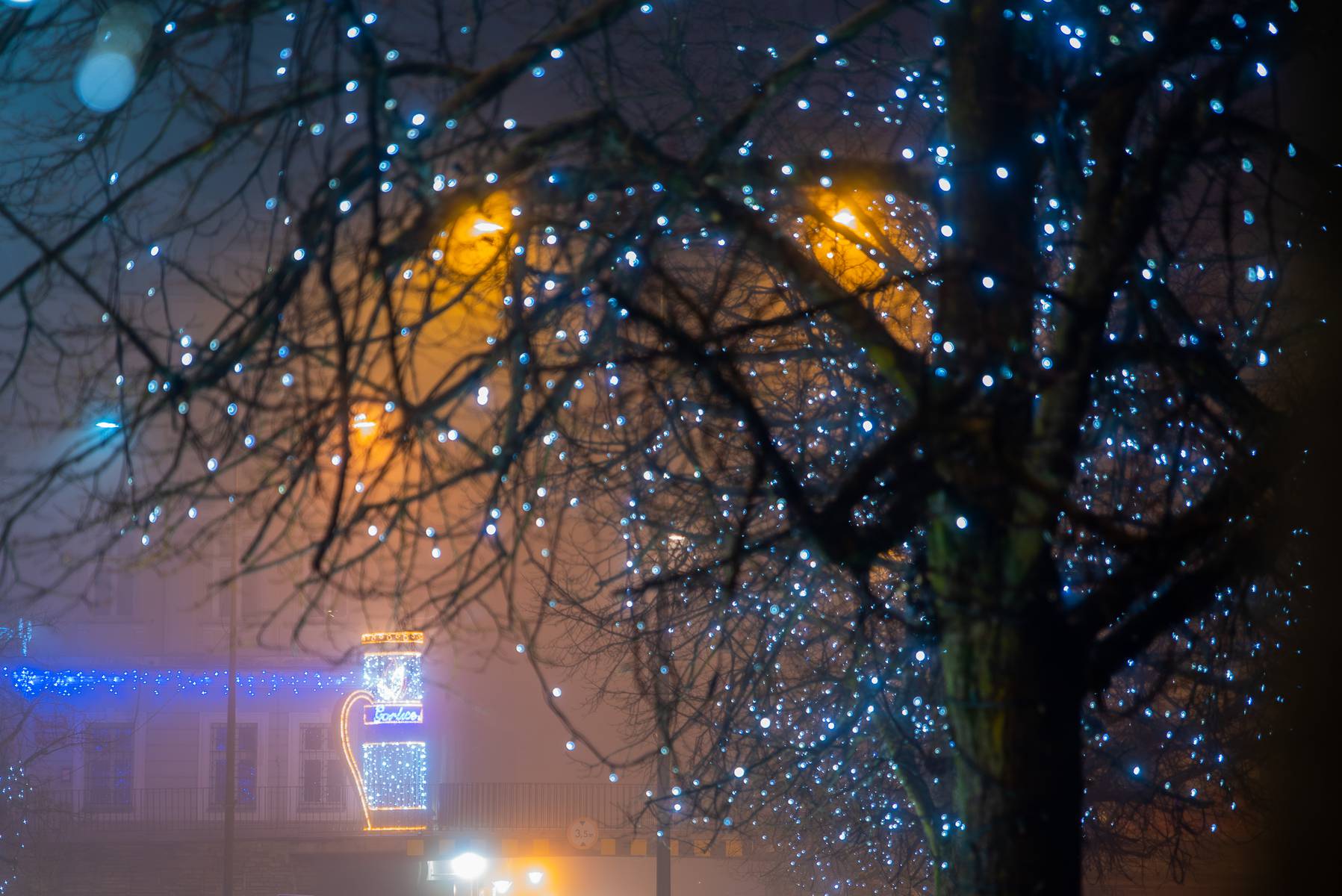 Gorlice, zima