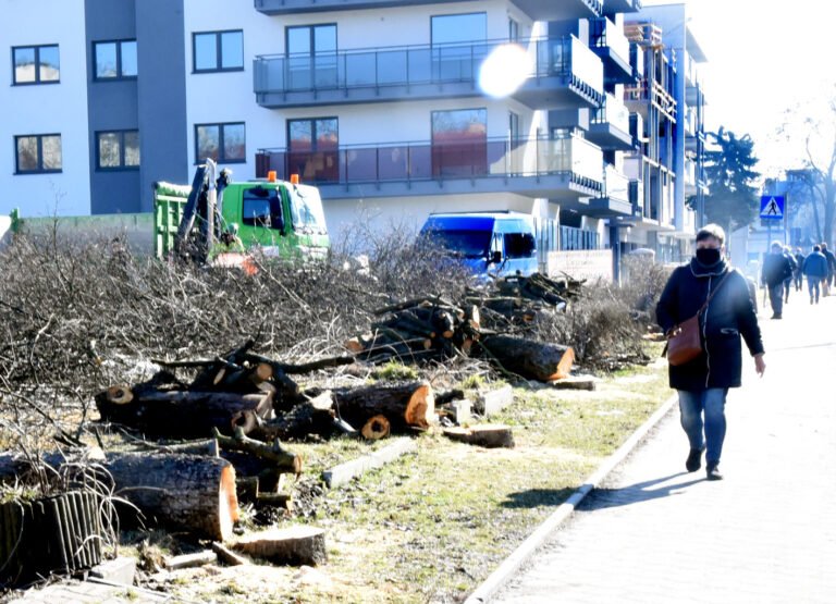 Subiektywnie z obiektywem. Drzewa z Alei Wolności poległy pod piłą [foto-felieton]