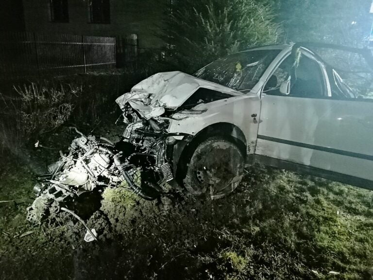 Nawojowa. Samochód wypadł z drogi. Trzy osoby trafiły do szpitala