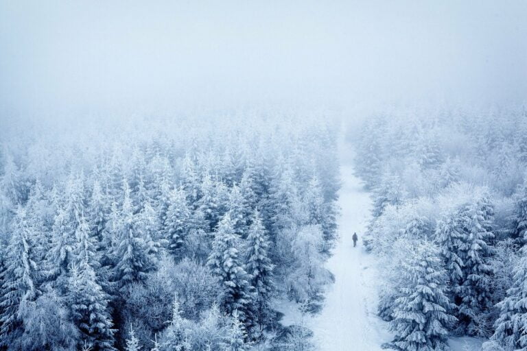 Mróz i śnieg nie odpuszczają. Będzie też mocno wiało. Temperatura odczuwalna lokalnie minus 40 stopni