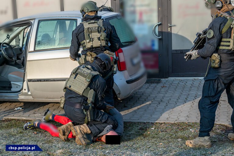 Umawiali się z prostytutkami, dokonywali na nich rozboju, a później chronili za 200 zł dziennie. Gang sutenerów rozbity [FILM]