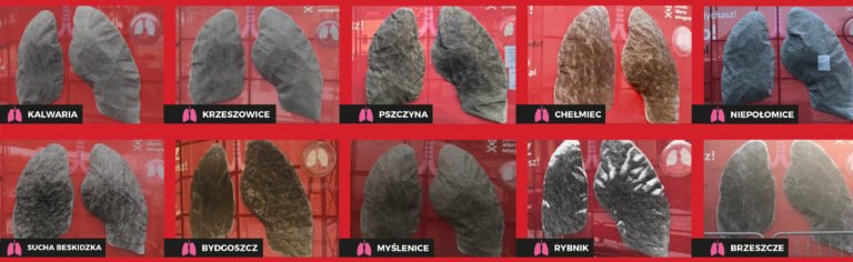 Co dalej z czarnymi płucami? PAS podsumował eksperyment, a rząd ogłosi powszechny spis pieców. Za brak zgłoszenia grozi grzywna