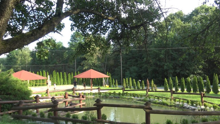 Własny park linowy i karuzela i to nie tylko dla dzieci