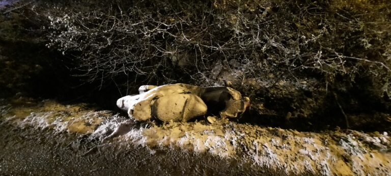 Korzenna. Kierowca jednośladu miał 2,5 promila i zakaz prowadzenia pojazdów