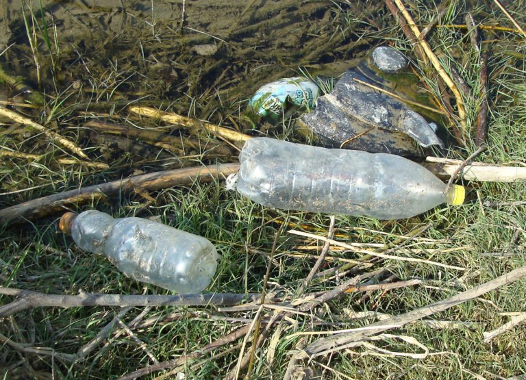 Nowy Sącz. W sobotę sprzątanie brzegów Kamienicy. Do udziału w misji specjalnej zaprasza Polskie Towarzystwo Tatrzańskie