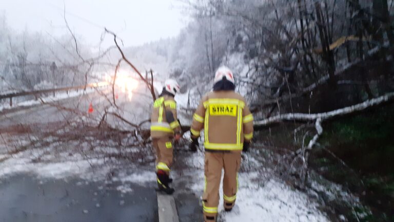 Sądecczyzna. Atak zimy ciężko znoszą… drzewa. Strażacy mają sporo pracy