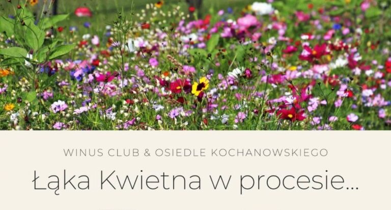 Pierwsza łąka kwietna na osiedlu Kochanowskiego niebawem zacznie kiełkować! Posiał ją Vinus Club