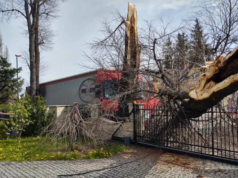 Nowy Sącz. Samochód ciężarowy uderzył w drzewo na ulicy Nawojowskiej