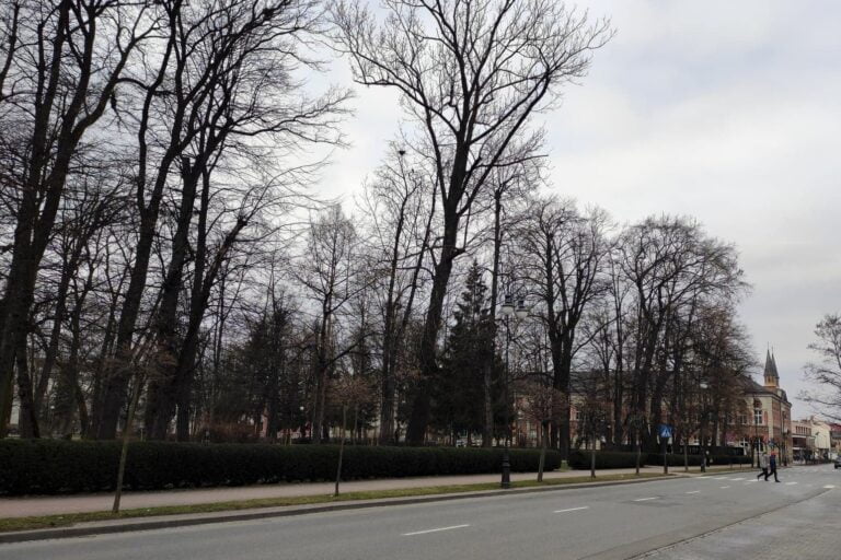 Nowy Sącz. Wiadomo już, kim był mężczyzna, którego ciało znaleziono na plantach
