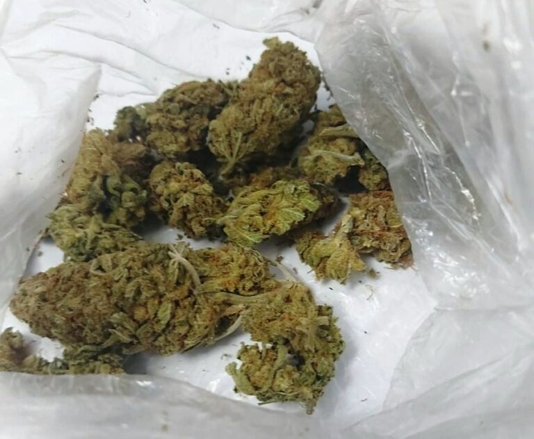 Nowy Sącz. Marihuana w słoikach i w doniczkach