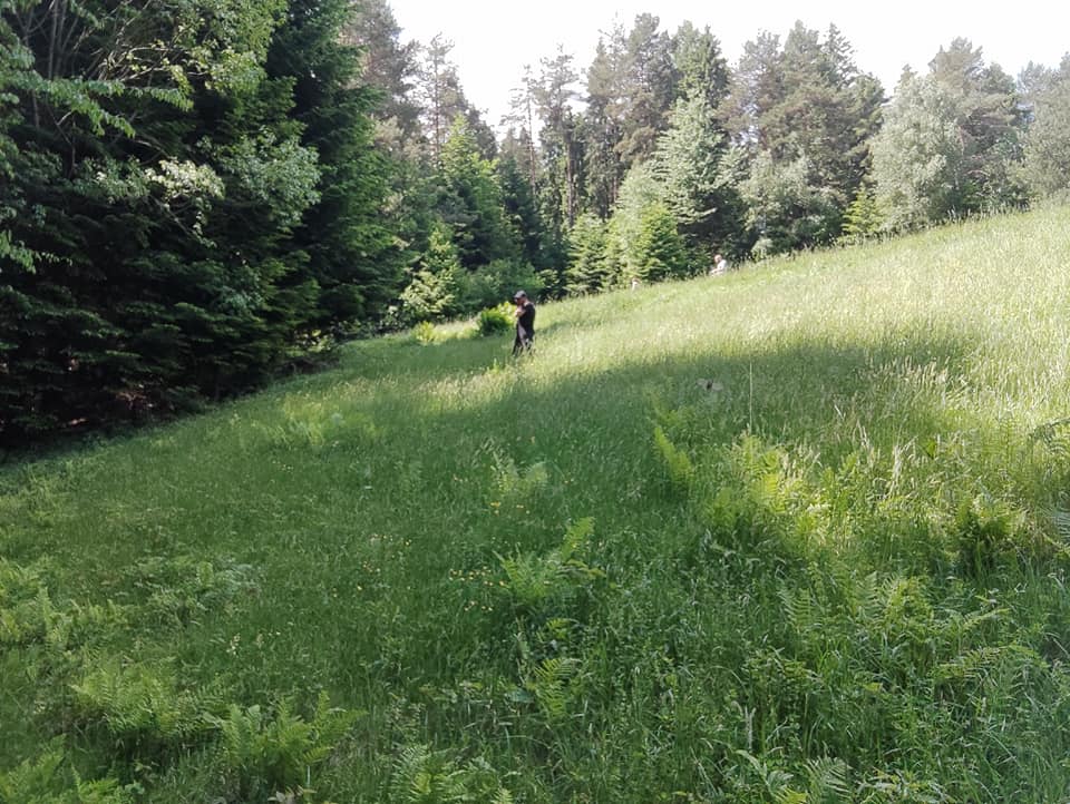 poszukiwania Krzysztofa Kroka