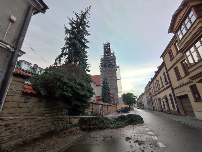 Nowy Sącz, połamane drzewa